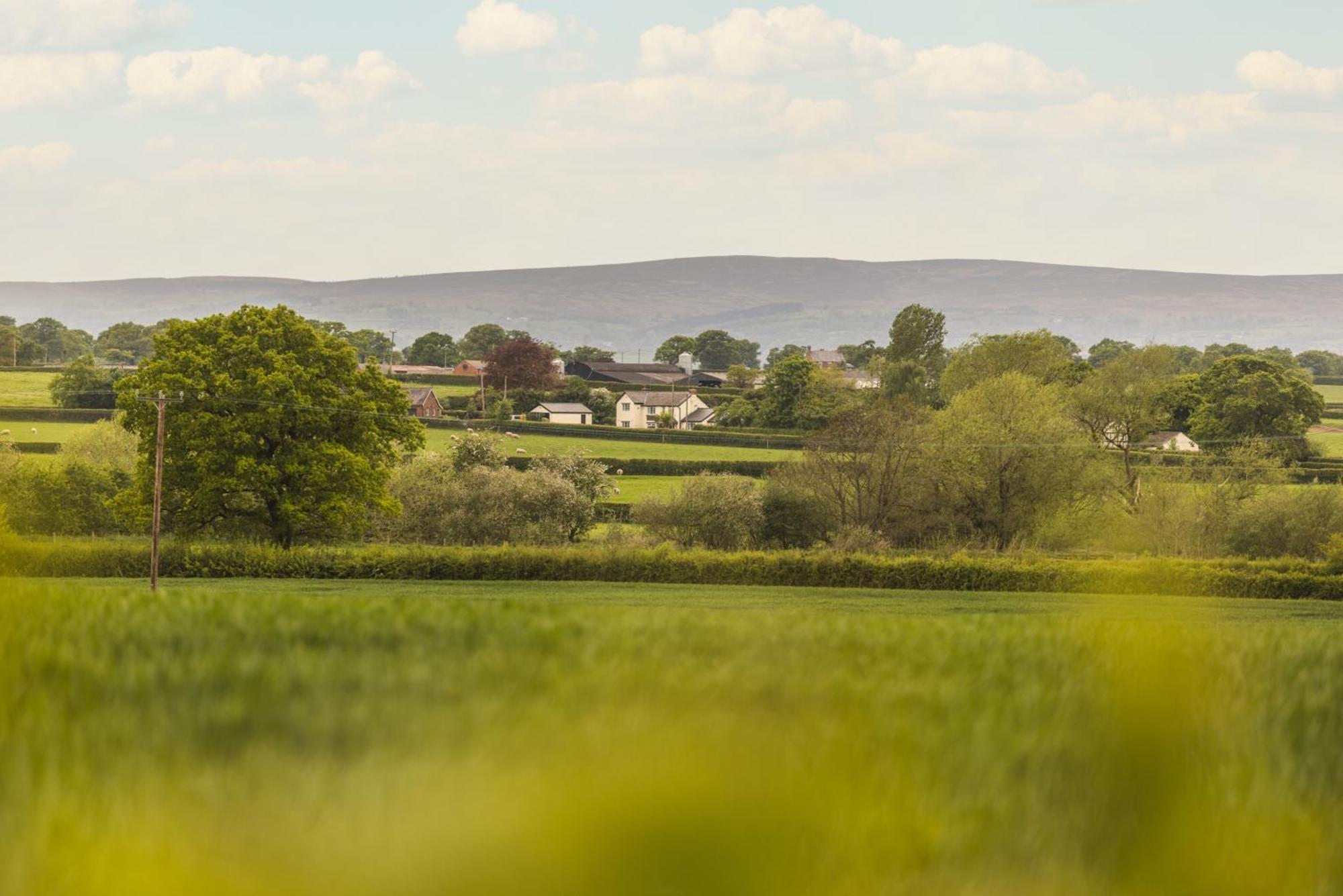 Mulsford Cottage Malpas  الغرفة الصورة